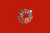 阿坝州金川县回收红酒